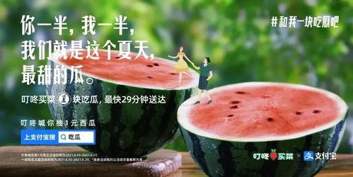娱乐吃瓜点评文案搞笑,笑料百出,瓜皮满天飞